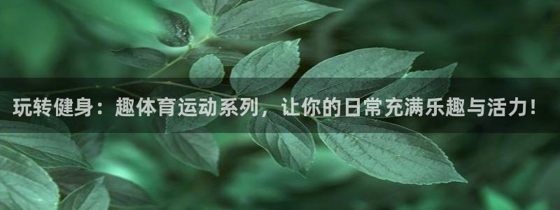 凯发官网下载平台注册流程视频：玩转健身：趣体育运动系