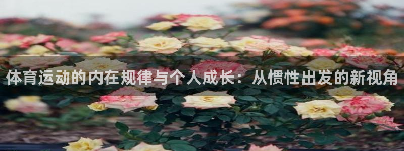 注册凯发官方正版app：体育运动的内在规律与个人成长：从惯性
