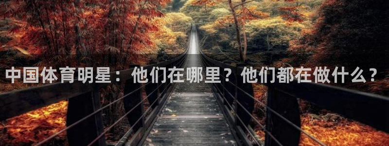 凯发官网下载招商电话号码查询：中国体育明星：他们在哪