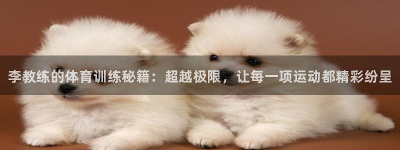 凯发官网下载开户：李教练的体育训练秘籍：超越极限，让