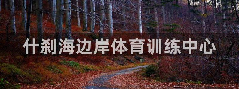 凯发官方正版app集团官网首页：什刹海边岸体育训练中心
