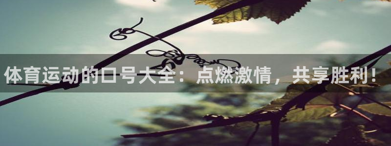 凯发官网下载是干嘛的公司：体育运动的口号大全：点燃激情，共享