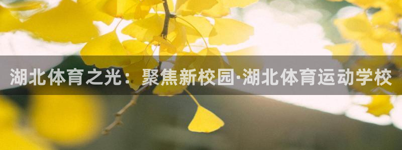 注册凯发官方正版app：湖北体育之光：聚焦新校园·湖