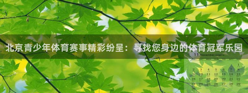 海南凯发官网下载：北京青少年体育赛事精彩纷呈：寻找您