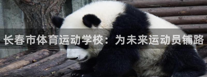 凯发官方正版app代理：长春市体育运动学校：为未来运