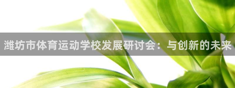凯发官网下载注册：潍坊市体育运动学校发展研讨会：与创新的未来