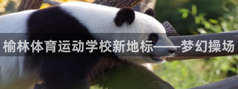 凯发官方正版app开户：榆林体育运动学校新地标——梦
