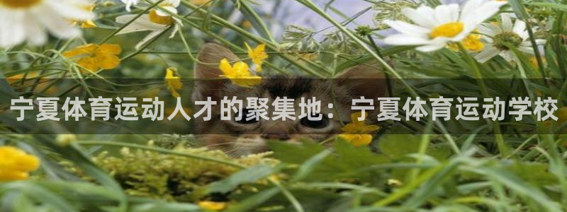 凯发官网下载招商电话号码是多少：宁夏体育运动人才的聚