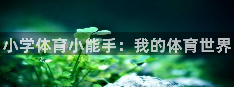凯发官方正版app集团logo：小学体育小能手：我的