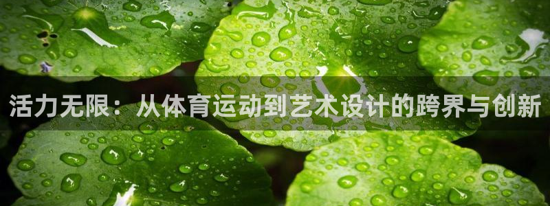 凯发官网下载招商电话地址查询：活力无限：从体育运动到艺术设计