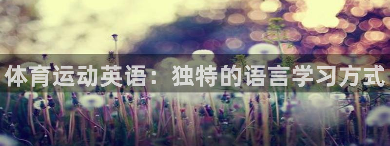 凯发官方正版app五金厂：体育运动英语：独特的语言学习方式