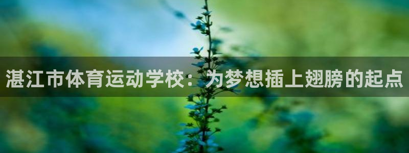 注册凯发官方正版app：湛江市体育运动学校：为梦想插