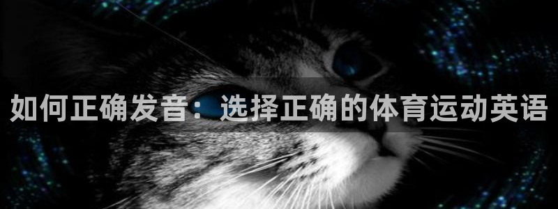 凯发官网下载招商电话地址