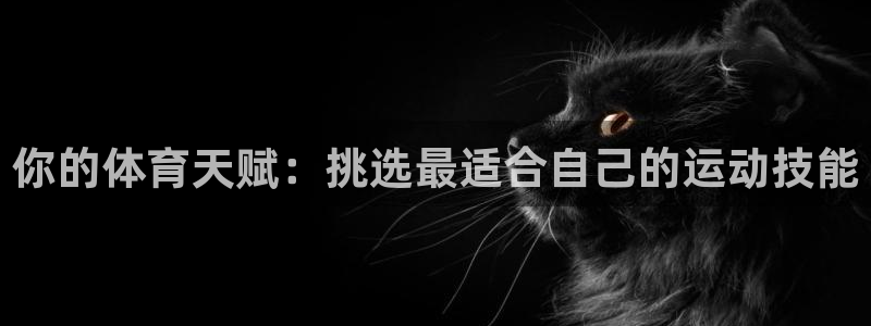 凯发官网下载软件