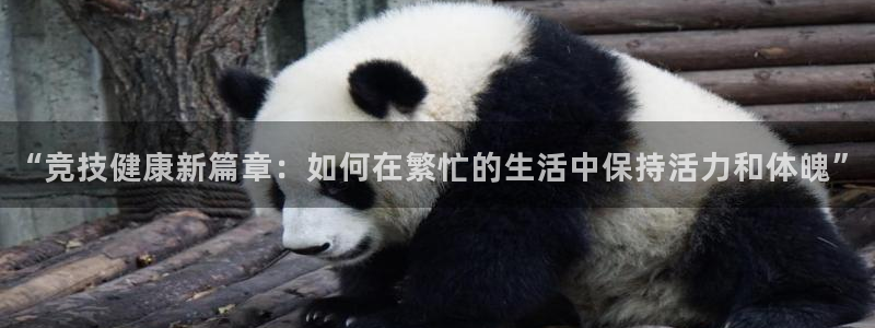 凯发官网下载招商电话号码是多少啊：“竞技健康新篇章：