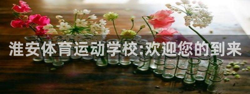 凯发官网下载招商电话号码：淮安体育运动学校:欢迎您的
