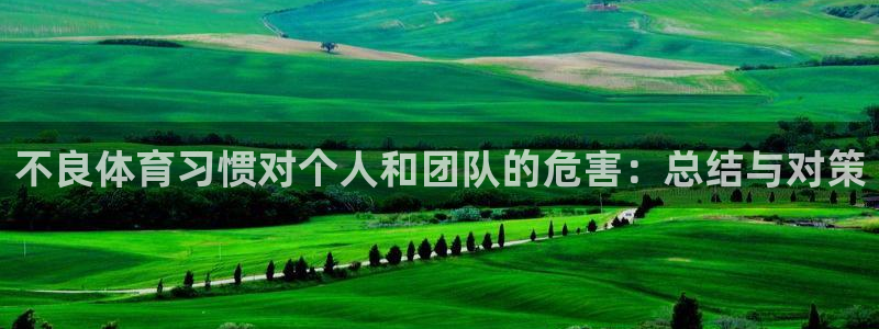 凯发官网下载平台注册流程图：不良体育习惯对个人和团队