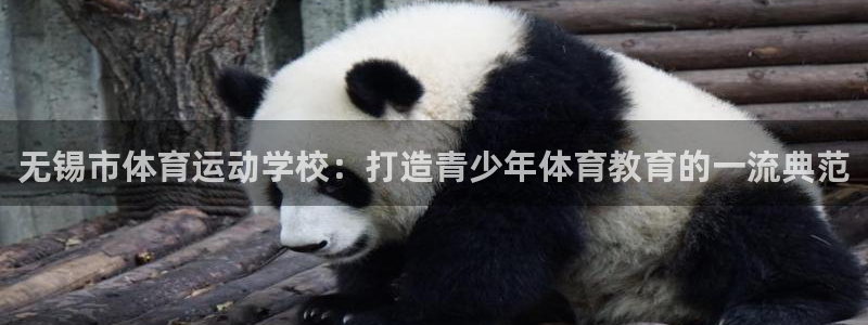 凯发官网下载平台是正规平台吗：无锡市体育运动学校：打