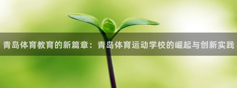 凯发官方正版app娱乐网站