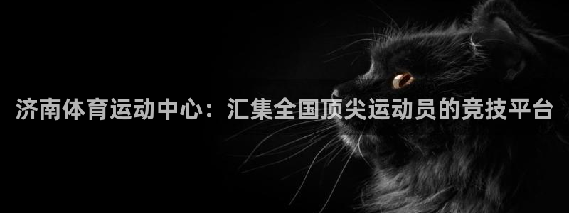 凯发官网下载平台是正规平台吗：济南体育运动中心：汇集全国顶尖