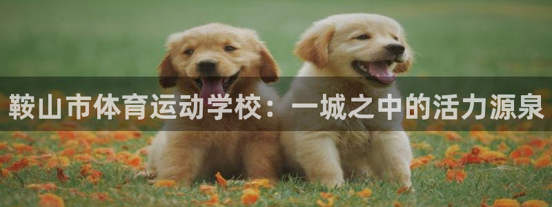 凯发官网下载招商