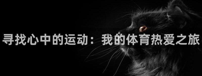 凯发官网下载平台注册